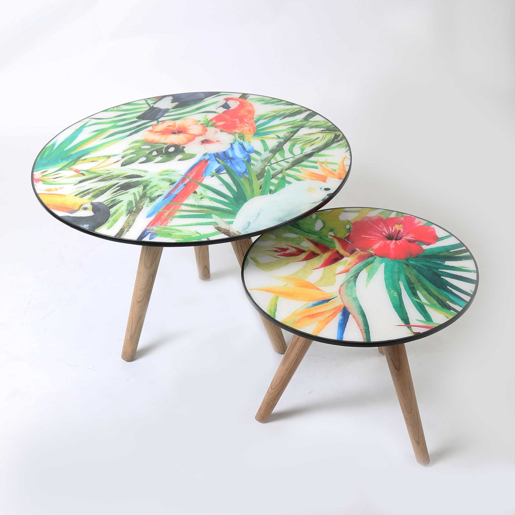 Hibiscus and Bird of Paradise Resin Coffee Table with Three Legs