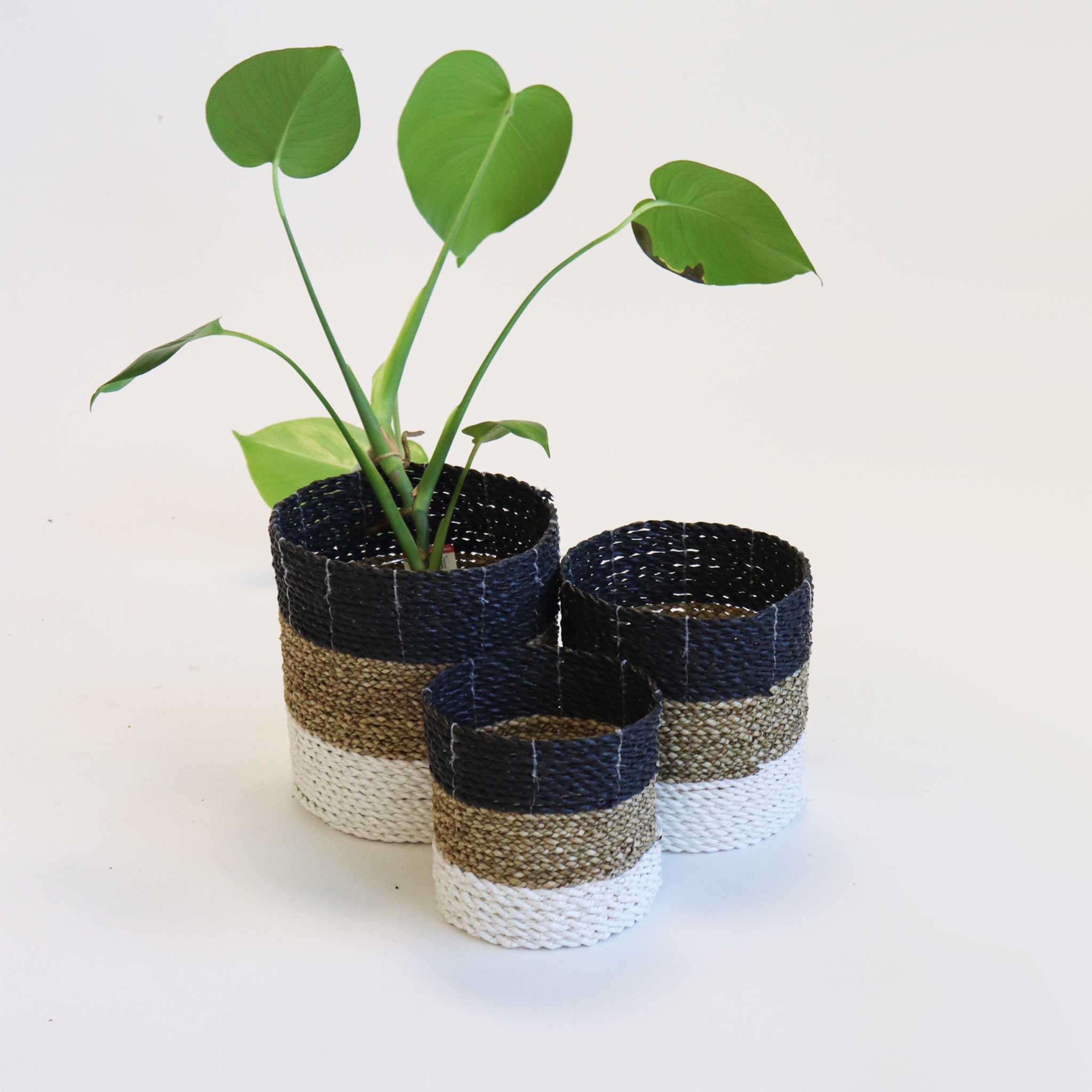 Small Black, Natural and White Baskets
